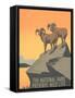 Big Horn Sheep, Travel Poster-null-Framed Stretched Canvas