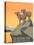 Big Horn Sheep, Travel Poster-null-Stretched Canvas
