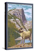 Big Horn Sheep-Lantern Press-Stretched Canvas