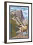 Big Horn Sheep-Lantern Press-Framed Art Print