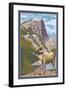 Big Horn Sheep-Lantern Press-Framed Art Print