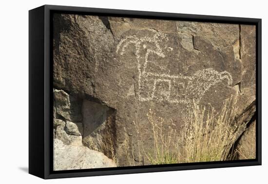 Big-Horned Sheep Jornada-Mogollon Petroglyph at Three Rivers Site, New Mexico-null-Framed Stretched Canvas