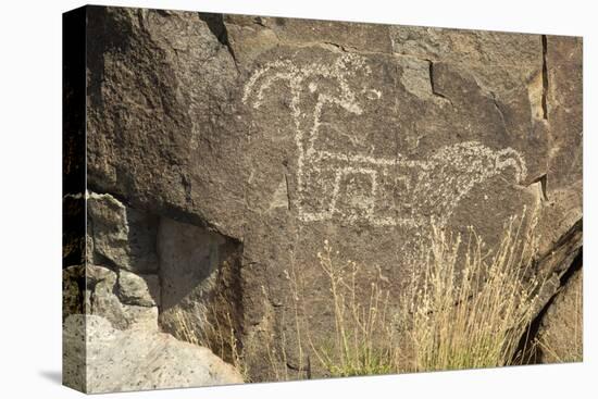 Big-Horned Sheep Jornada-Mogollon Petroglyph at Three Rivers Site, New Mexico-null-Stretched Canvas