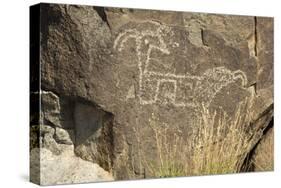 Big-Horned Sheep Jornada-Mogollon Petroglyph at Three Rivers Site, New Mexico-null-Stretched Canvas