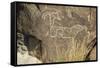 Big-Horned Sheep Jornada-Mogollon Petroglyph at Three Rivers Site, New Mexico-null-Framed Stretched Canvas