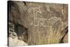 Big-Horned Sheep Jornada-Mogollon Petroglyph at Three Rivers Site, New Mexico-null-Stretched Canvas
