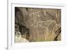 Big-Horned Sheep Jornada-Mogollon Petroglyph at Three Rivers Site, New Mexico-null-Framed Photographic Print