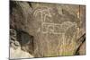 Big-Horned Sheep Jornada-Mogollon Petroglyph at Three Rivers Site, New Mexico-null-Mounted Photographic Print