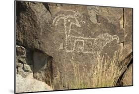 Big-Horned Sheep Jornada-Mogollon Petroglyph at Three Rivers Site, New Mexico-null-Mounted Photographic Print