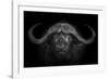 Big Horns-Mario Moreno-Framed Photographic Print