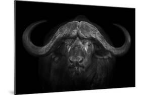 Big Horns-Mario Moreno-Mounted Photographic Print