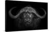 Big Horns-Mario Moreno-Stretched Canvas