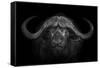 Big Horns-Mario Moreno-Framed Stretched Canvas