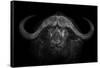 Big Horns-Mario Moreno-Framed Stretched Canvas