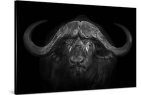 Big Horns-Mario Moreno-Stretched Canvas