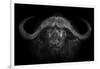 Big Horns-Mario Moreno-Framed Photographic Print