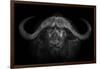 Big Horns-Mario Moreno-Framed Photographic Print