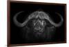 Big Horns-Mario Moreno-Framed Photographic Print