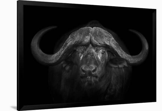 Big Horns-Mario Moreno-Framed Photographic Print