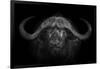 Big Horns-Mario Moreno-Framed Photographic Print