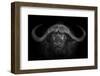 Big Horns-Mario Moreno-Framed Photographic Print