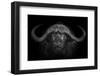 Big Horns-Mario Moreno-Framed Photographic Print