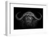 Big Horns-Mario Moreno-Framed Photographic Print