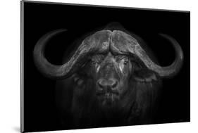 Big Horns-Mario Moreno-Mounted Photographic Print