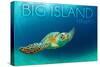 Big Island, Hawaii - Sea Turtle Swimming-Lantern Press-Stretched Canvas