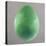 Big Jade Egg-Lincoln Seligman-Stretched Canvas