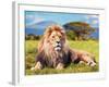 Big Lion Lying on Savannah Grass. Landscape with Characteristic Trees on the Plain and Hills in The-Michal Bednarek-Framed Premium Photographic Print
