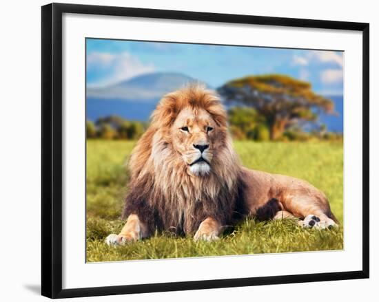 Big Lion Lying on Savannah Grass. Landscape with Characteristic Trees on the Plain and Hills in The-Michal Bednarek-Framed Premium Photographic Print