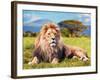 Big Lion Lying on Savannah Grass. Landscape with Characteristic Trees on the Plain and Hills in The-Michal Bednarek-Framed Premium Photographic Print