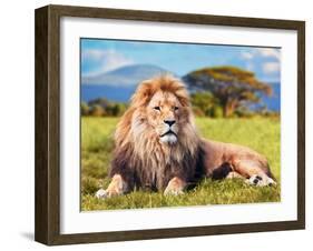 Big Lion Lying on Savannah Grass. Landscape with Characteristic Trees on the Plain and Hills in The-Michal Bednarek-Framed Photographic Print