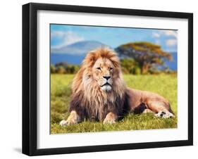 Big Lion Lying on Savannah Grass. Landscape with Characteristic Trees on the Plain and Hills in The-Michal Bednarek-Framed Photographic Print