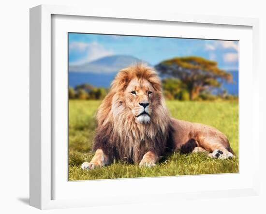 Big Lion Lying on Savannah Grass. Landscape with Characteristic Trees on the Plain and Hills in The-Michal Bednarek-Framed Photographic Print