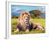 Big Lion Lying on Savannah Grass. Landscape with Characteristic Trees on the Plain and Hills in The-Michal Bednarek-Framed Photographic Print