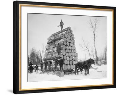 Michigan Horse-drawn Logging Sled Historic Photo Print circa 1890 
