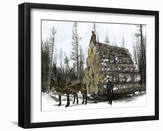 Big Load of Logs on a Skidder in Michigan, c.1880-null-Framed Giclee Print