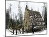 Big Load of Logs on a Skidder in Michigan, c.1880-null-Mounted Giclee Print