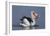 Big Lunch-C.S.Tjandra-Framed Photographic Print