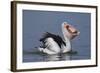 Big Lunch-C.S.Tjandra-Framed Photographic Print