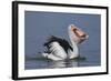 Big Lunch-C.S.Tjandra-Framed Photographic Print