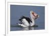 Big Lunch-C.S.Tjandra-Framed Photographic Print