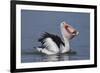 Big Lunch-C.S.Tjandra-Framed Photographic Print