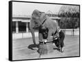 Canvas Black