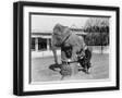 Black Frame