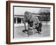 Brown Frame