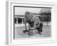 White Frame