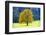 Big Maple as a Single Tree in Autumn-Wolfgang Filser-Framed Photographic Print